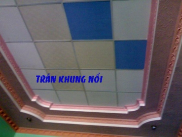 Thạch cao | TRẦN THẠCH CAO XƯƠNG NỔI