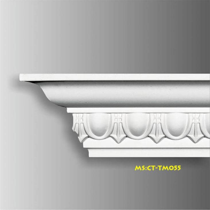 mauphaochidep ct-tm055